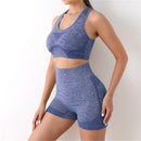 Conjunto Esportivo Feminino Top e Short sem Costura Ferrazi