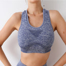 Conjunto Esportivo Feminino Top e Short sem Costura Ferrazi