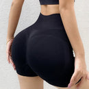 Conjunto Esportivo Feminino Top e Short sem Costura Ferrazi