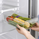 Organizador Armazenamento para Geladeira | FrostyBin