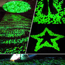 Pedras Luminosas para Decoração de Jardim | Mystic Rock
