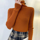 Suéter Feminino de Inverno Casual Ferrazi
